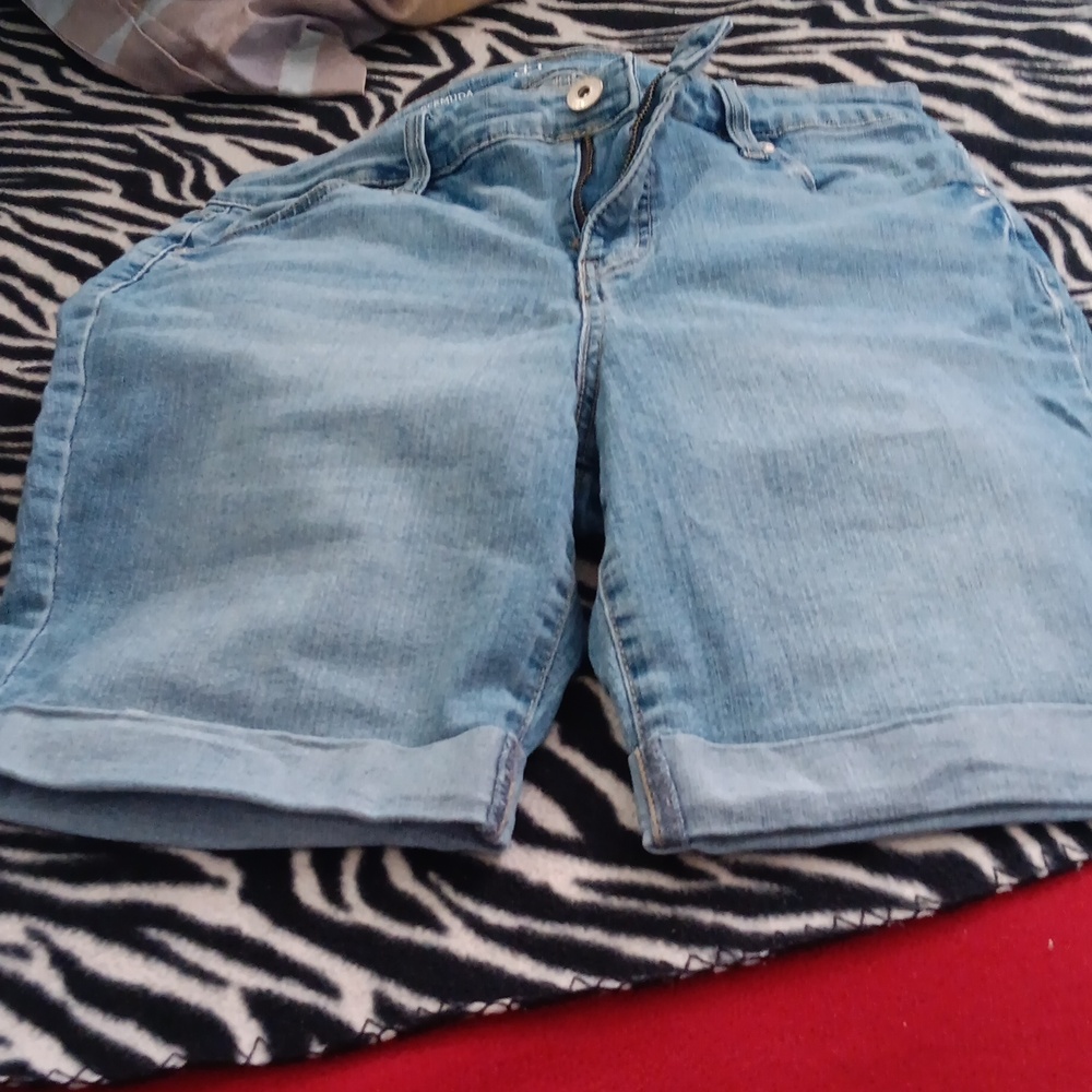 Casual Light Blue Jean Shorts for Women